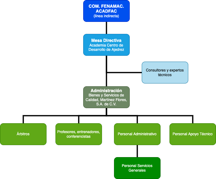 Estructura Organizacional